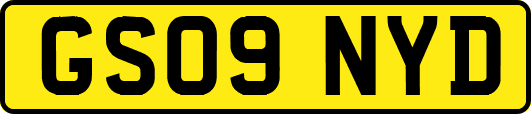 GS09NYD