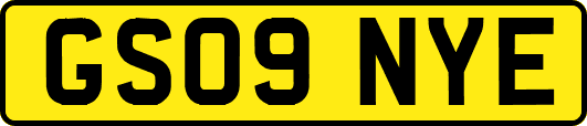 GS09NYE