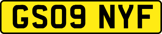 GS09NYF