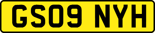 GS09NYH