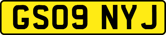GS09NYJ