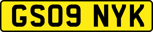 GS09NYK