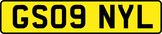 GS09NYL