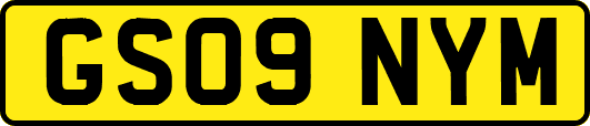 GS09NYM