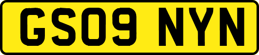 GS09NYN