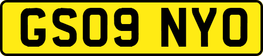 GS09NYO