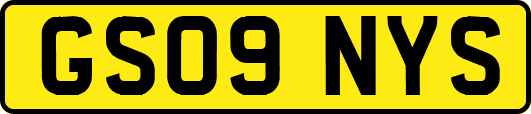GS09NYS
