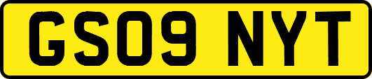 GS09NYT