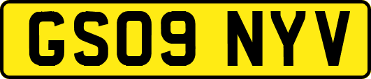 GS09NYV