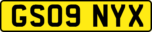 GS09NYX