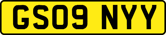 GS09NYY