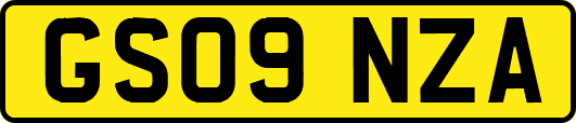 GS09NZA