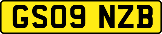 GS09NZB