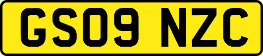 GS09NZC