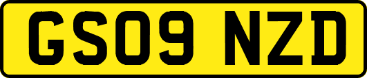 GS09NZD