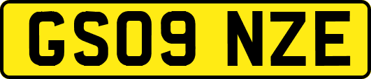 GS09NZE