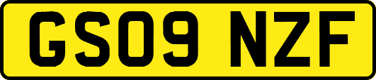 GS09NZF