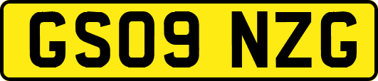 GS09NZG