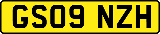 GS09NZH
