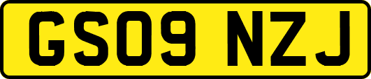 GS09NZJ