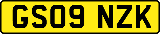 GS09NZK