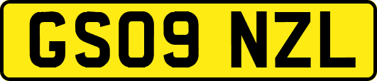 GS09NZL