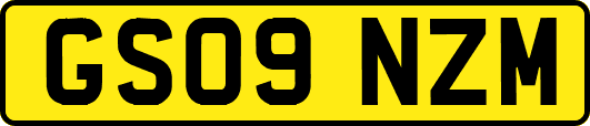 GS09NZM