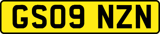 GS09NZN
