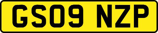 GS09NZP