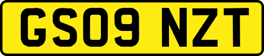 GS09NZT