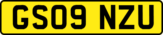 GS09NZU