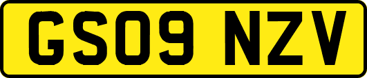 GS09NZV