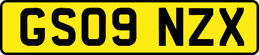 GS09NZX