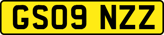 GS09NZZ