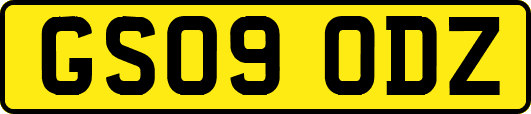 GS09ODZ