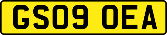 GS09OEA
