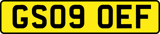 GS09OEF