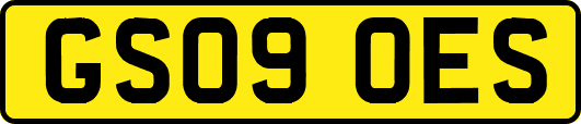 GS09OES