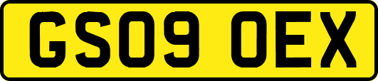 GS09OEX