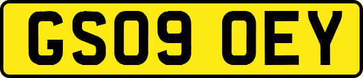 GS09OEY