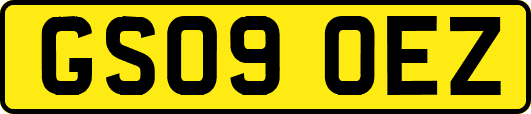 GS09OEZ