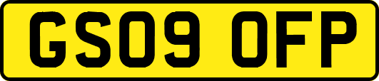 GS09OFP