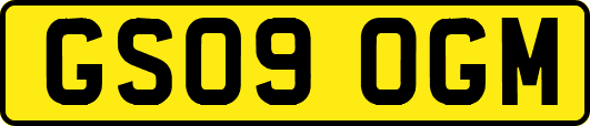 GS09OGM
