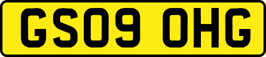 GS09OHG