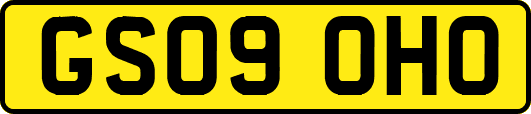 GS09OHO