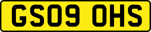 GS09OHS