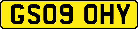 GS09OHY