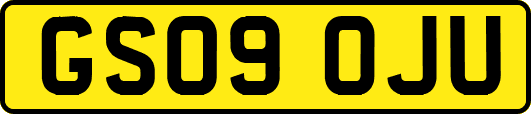 GS09OJU