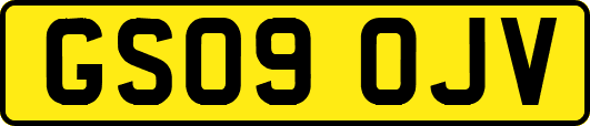 GS09OJV