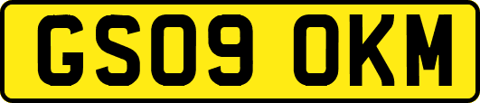 GS09OKM